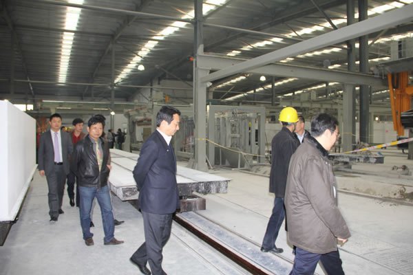 AAC Block Production Line for SUONATA